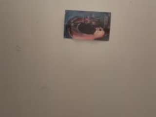 shaneedigital webcam model stream image