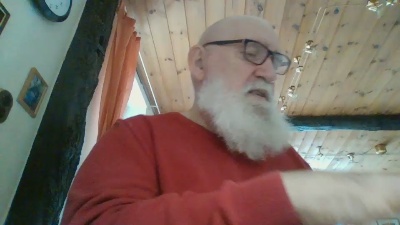 legov4 webcam model stream image