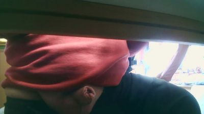 legov4 webcam model stream image