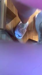 AngelinaKis webcam model stream image