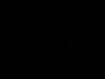 SG-310 webcam model stream image