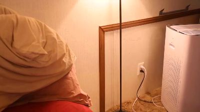 XxpixeyxX webcam model stream image