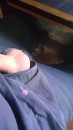 Argenhott2 webcam model stream image