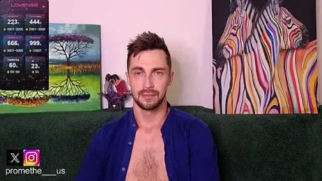 Promethe_us webcam model stream image