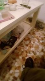 Evamm84 webcam cam4 model stream image