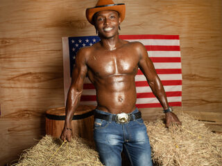 Dan Smit webcam model stream image