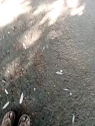 DulajThushara2468 webcam model stream image