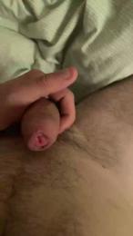 HA18 webcam model stream image