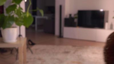 BevHamler webcam model stream image