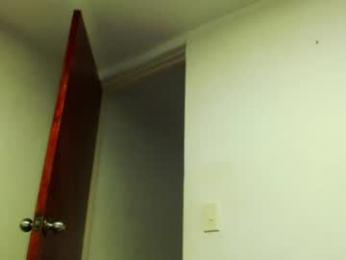 dualdoflow webcam model stream image