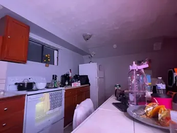 VixenCapri webcam model stream image