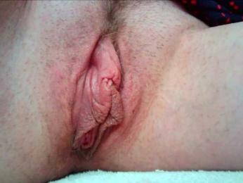 Xollan webcam model stream image