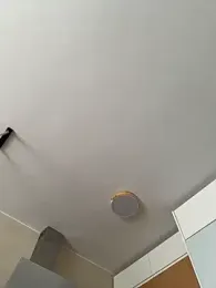 Selvaggia_official83 webcam stripchat model stream image