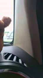 Tania__honey webcam cam4 model stream image