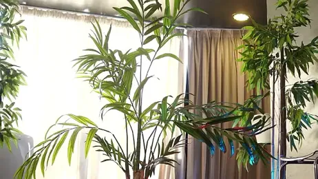 HotBustyBabeX webcam stripchat model stream image