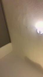 Javiexotic69のプレビュー