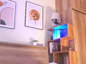 lanisun webcam model stream image