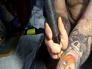 thetortuga webcam model stream image