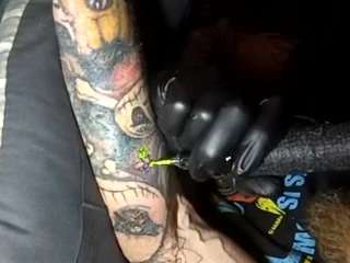 thetortuga webcam model stream image