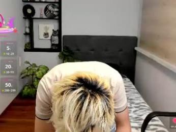 stich_23 webcam model stream image