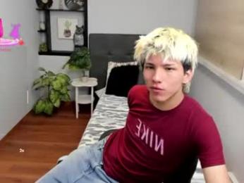 stich_23 webcam model stream image