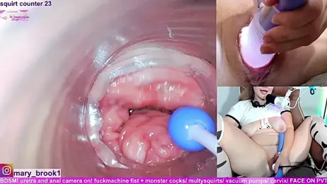 MaryBrook1 webcam stripchat model stream image