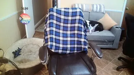 superbearboss webcam model stream image