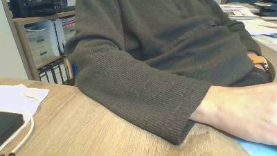 Rola311 webcam model stream image