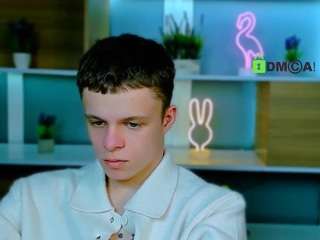 bondi-vv webcam model stream image