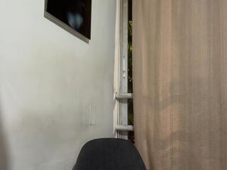 Braun Phillips webcam model stream image