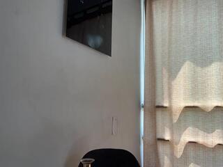 Braun Phillips webcam model stream image