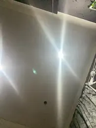 BlueIceCube webcam model stream image