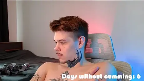 DENIS_HERE webcam model stream image