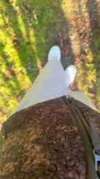 pimmel51 webcam model stream image