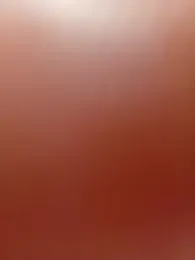 Ridhima_sony webcam model stream image