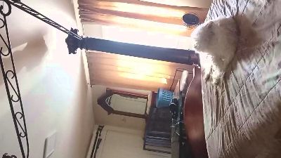 teddy197300 webcam cam4 model stream image