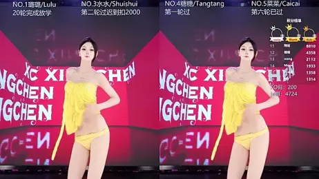 SK-001 webcam model stream image