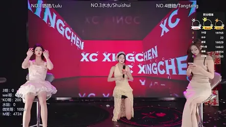 SK-001 webcam model stream image