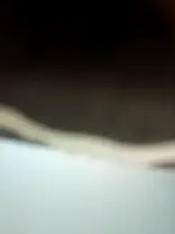 Virgin_Pussy_Love webcam model stream image