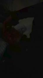 Chemnitzfick webcam model stream image