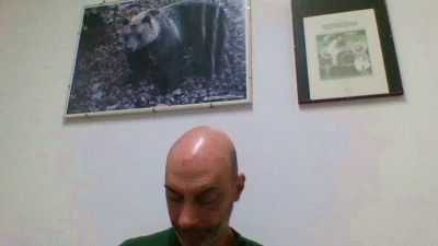 italianinho7 webcam cam4 model stream image