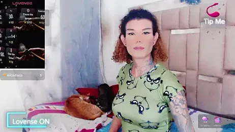 ana_tsxxx webcam stripchat model stream image