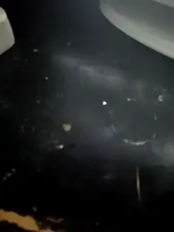 niyack69 webcam model stream image