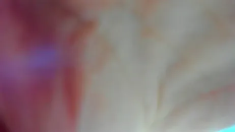 AishaRouhi webcam model stream image