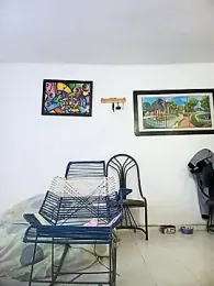 Dollperverthot webcam model stream image