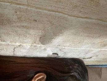 Rainie webcam model stream image