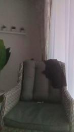 Mario84Luci webcam cam4 model stream image