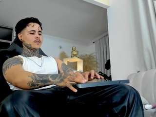 stefantransman webcam model stream image