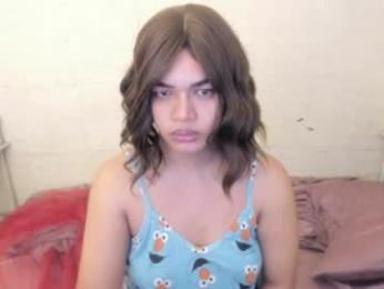 tsvanilla webcam model stream image