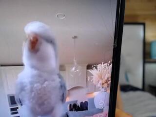 Sophia Moore webcam model stream image